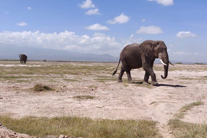 Overnight Safari to Amboseli National Park - Frequently Asked Questions