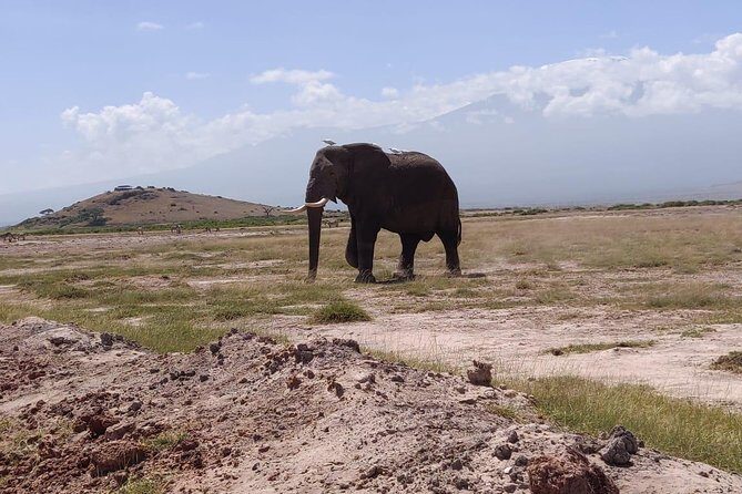 Overnight Safari to Amboseli National Park - Final Thoughts