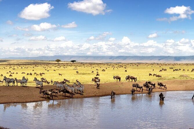 Overnight Safari To Maasai Mara - Final Thoughts