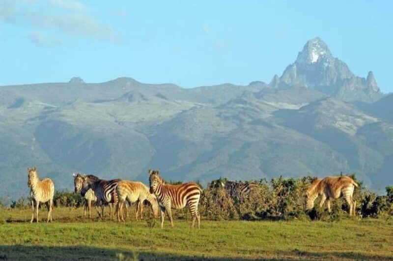 OVERNIGHT SAFARI TO MOUNT KENYA - Who Is This Tour Best Suited For?