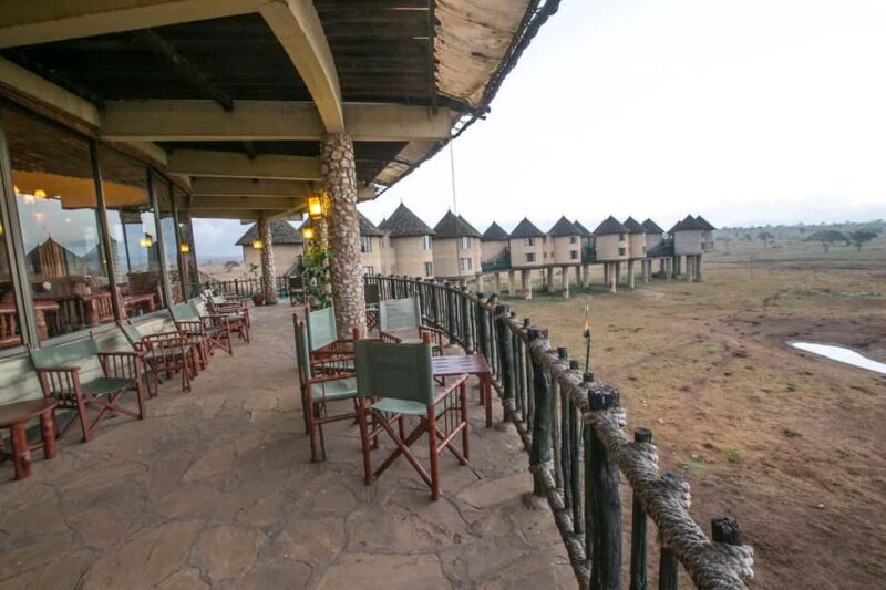 Overnight Safari To Saltlick Lodge from Mombasa or Diani - Exploring the Overnight Safari to Salt Lick Lodge from Mombasa or Diani  