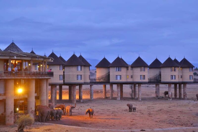 Overnight Safari to Saltlick Safari Lodge from Mombasa/Diani - Why Opt for the Salt Lick Safari Lodge Overnight Tour?