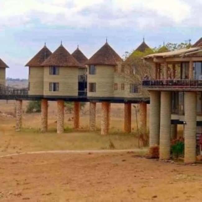 Overnight Safari to Saltlick Safari Lodge from Mombasa/Diani - Who Should Consider This Tour?