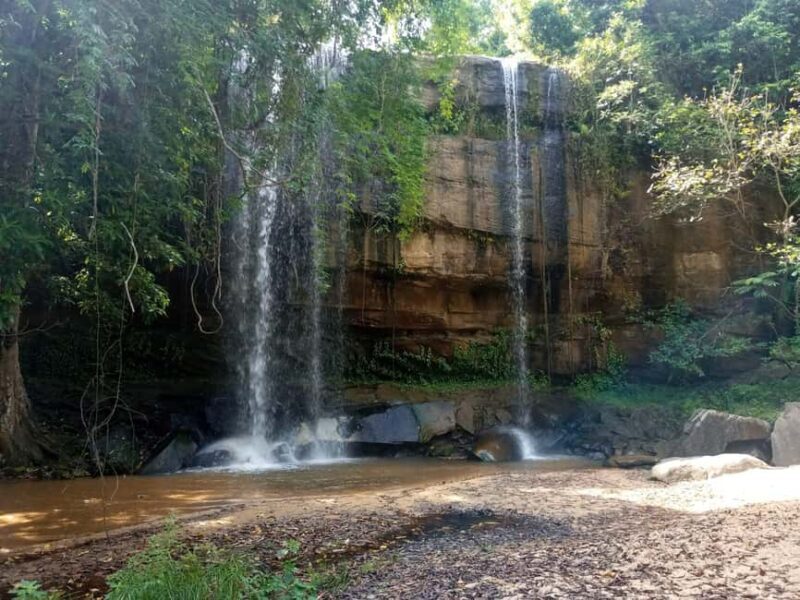 Overnight Safari to Shimba hills from Mombasa - What Makes This Safari Stand Out?