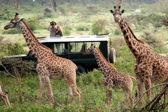Overnight Safari to Tsavo East National Park from Mombasa/Diani - Whats Included and Whats Not