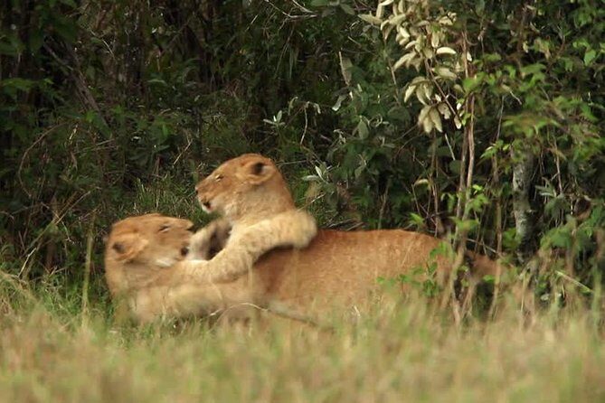 Overnight Safari to Tsavo East National Park from Mombasa/Diani - Who Will Love This Tour?