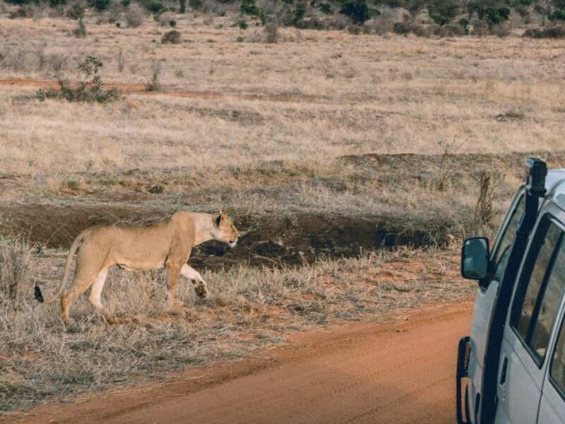 Overnight Safari to Tsavo East National Park from Mombasa - FAQ