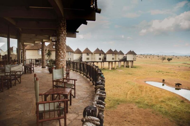 Overnight Saltlick Safari from Mombasa or Diani - Key Points