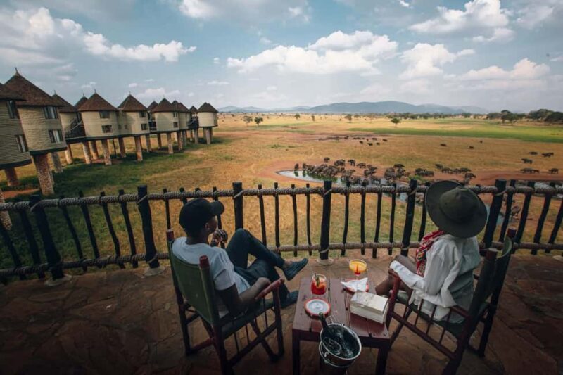 Overnight Saltlick Safari from Mombasa or Diani - An In-Depth Look at the Salt Lick Safari Experience