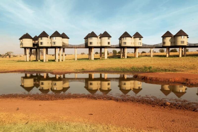 Overnight Saltlick Safari from Mombasa or Diani - Final Thoughts