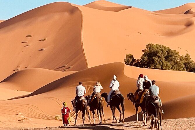 Overnight stay in desert camp & Camel trekking in the Sahara - Key Points