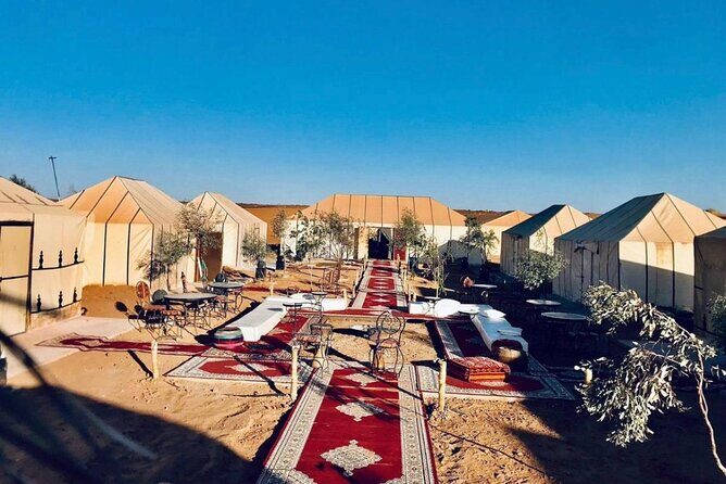 Overnight stay in desert camp & Camel trekking in the Sahara - Who Is This Tour Best For?