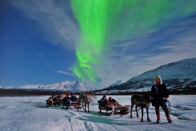 Overnight Stay with Reindeer Sledding & Feeding - Price and Value – Is It Worth It?