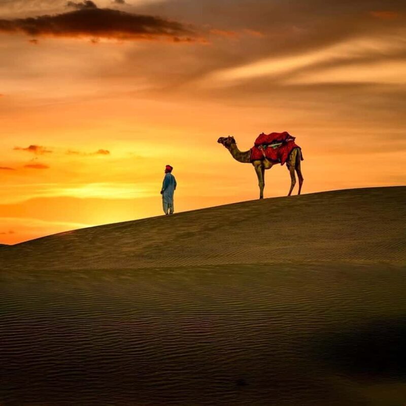 Overnight Thar Desert Safari with Camel Ride & Stargazing - The Value Proposition