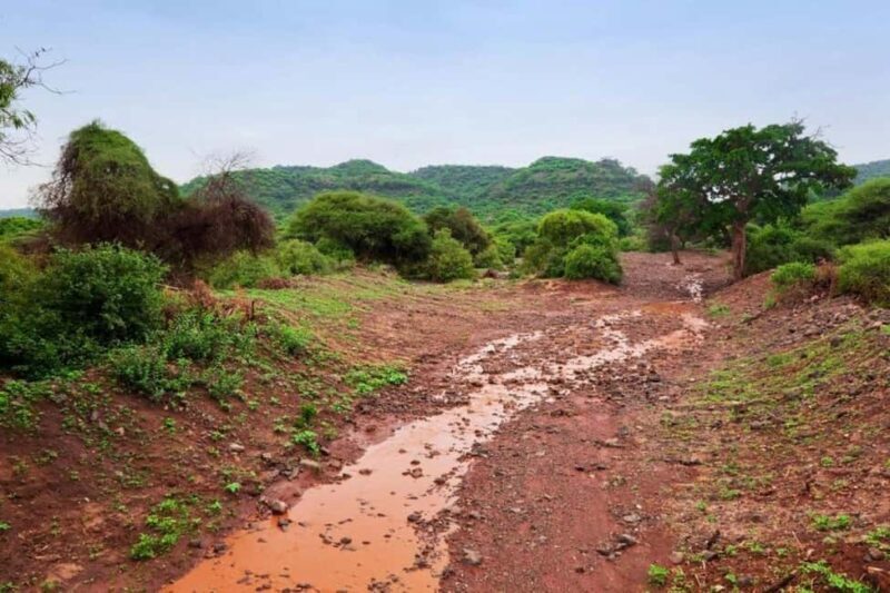 Overnight To Tsavo East from Mombasa/Diani - Key Points  