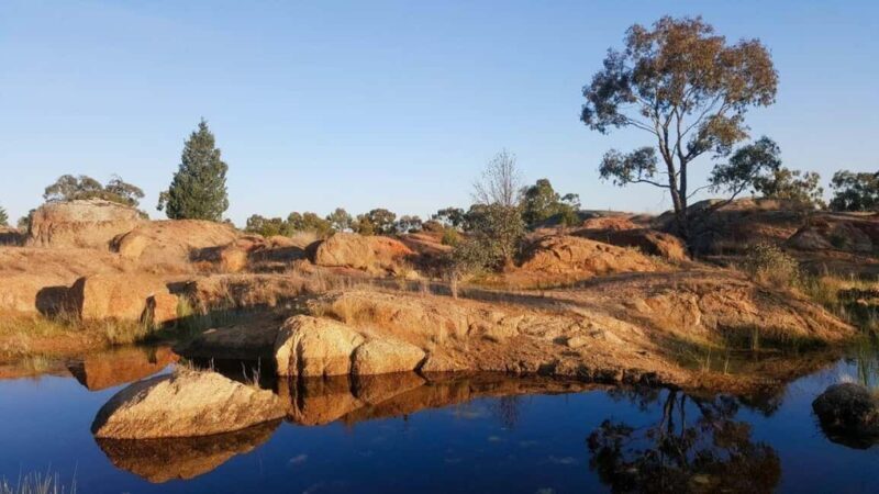 Overnight To Tsavo East from Mombasa/Diani - Authentic Experiences and Traveler Perspectives  
