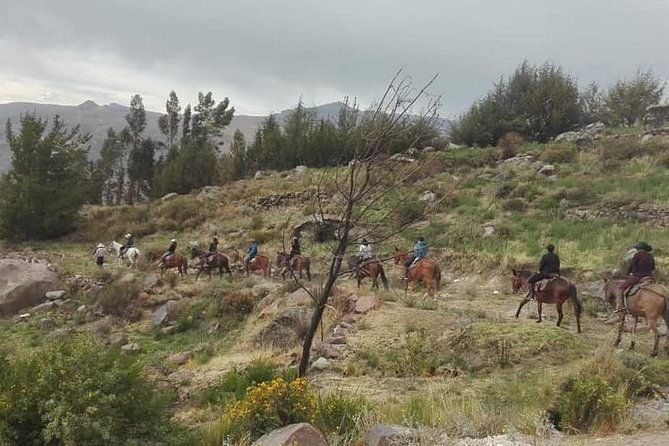 overnight-tour-colca-canyon-including-horse-riding-from-arequipa