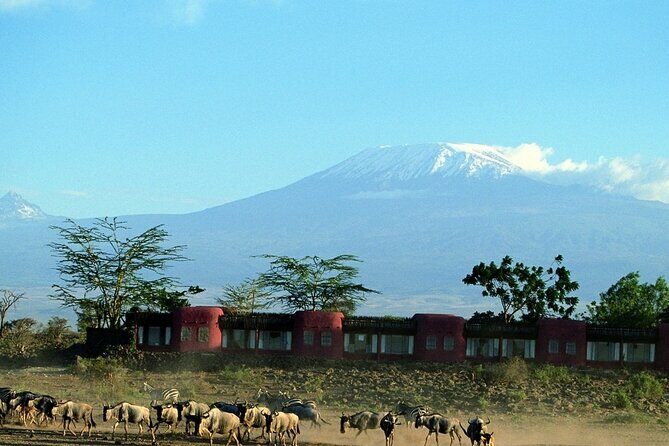 Overnight Tour in Amboseli National Park from Nairobi - Key Points