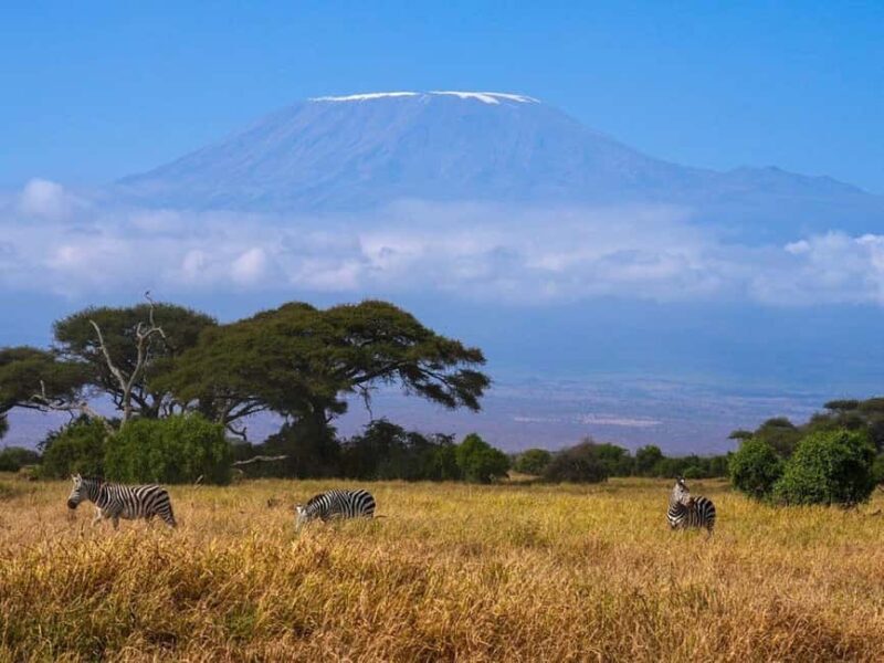 Overnight Tour to Amboseli National park from Nairobi - What Makes This Tour Stand Out?