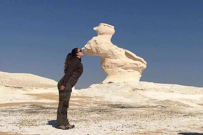 Overnight Tour To Bahariya Oasis Visit Black And White Desert From Cairo - A Detailed Look at the Black and White Desert Tour