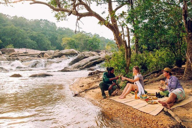 Overnight tour to Gal Oya National Park with Free Transfers to Next Destination - The Experience: Beyond the Highlights