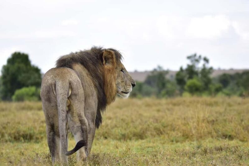 Overnight tour to Mount Kenya and Olpejeta Conservancy - Practical Details and What to Expect