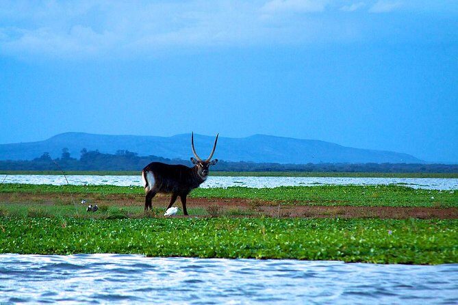 Overnight tour to mount Longonot and Hells Gate Naivasha - What We Loved About This Tour