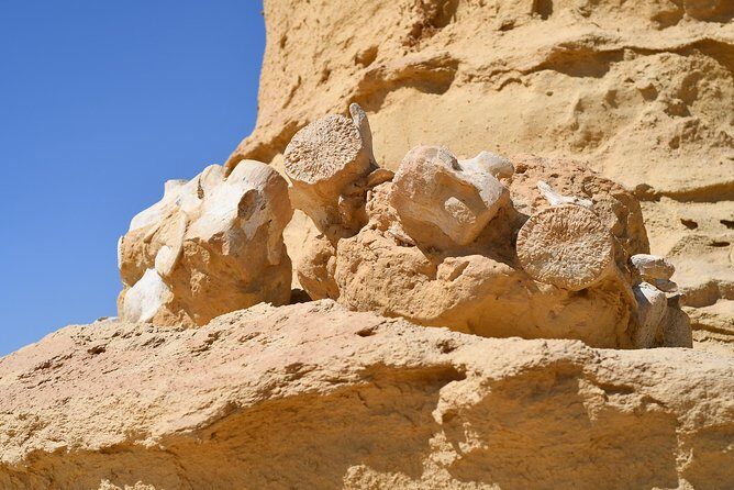 Overnight Trip to Fayyom Oasis, Wadi El-Hitan & Wadi El-Rayyan - Why This Tour Offers Great Value