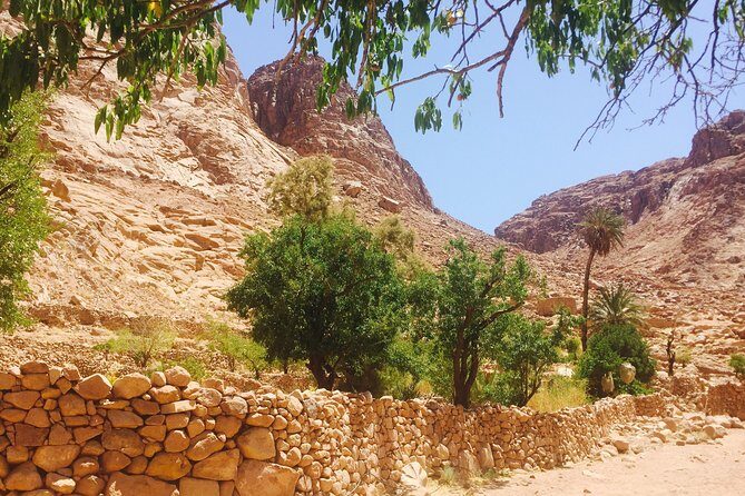 Overnight Trip to Saint Catherine Monastery from Cairo - Overall Value and Practical Insights