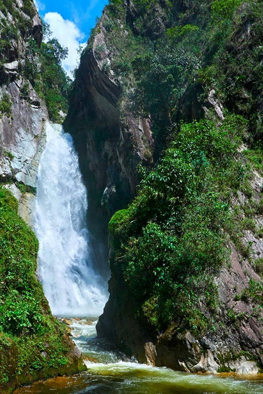 oxapampa-highlights-rainforest-coffee-adventure