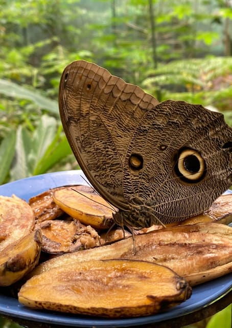 oxapampa-perene-natural-adventure-amazons-biodiversity