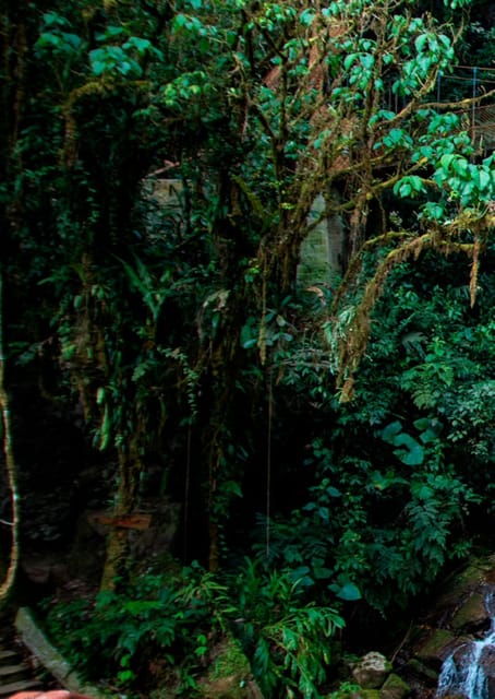 oxapampa-tigre-river-waterfall-and-jungle-secret