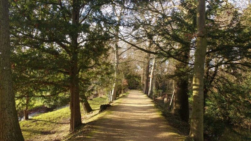 oxford-c-s-lewis-j-r-r-tolkien-guided-walking-tour