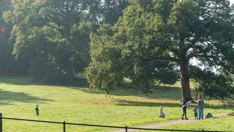 oxford-harcourt-arboretum-entry-ticket