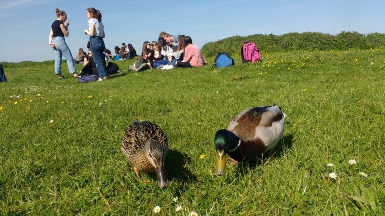 oxford-river-cruise-and-walking-tour-to-iffley-village