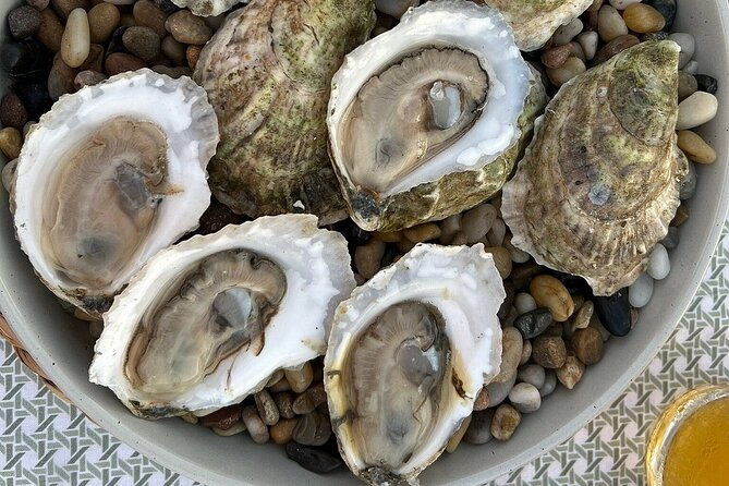 oyster-and-wine-tasting-in-a-cozy-seaside-lodge