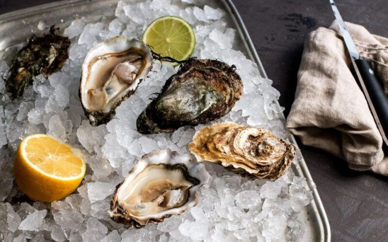 oyster-day-in-mali-ston