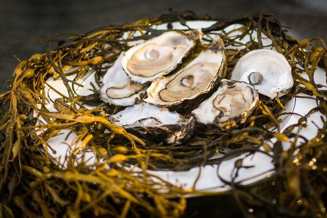 oyster-farm-and-tasting-experience