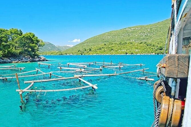 oyster-farm-experience-private-day-trip-from-dubrovnik