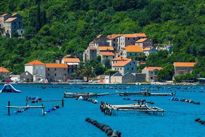 oyster-farm-experience-private-day-trip-from-dubrovnik