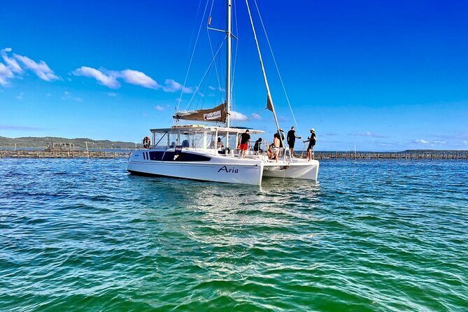 Oyster Farm Tour - Key Points