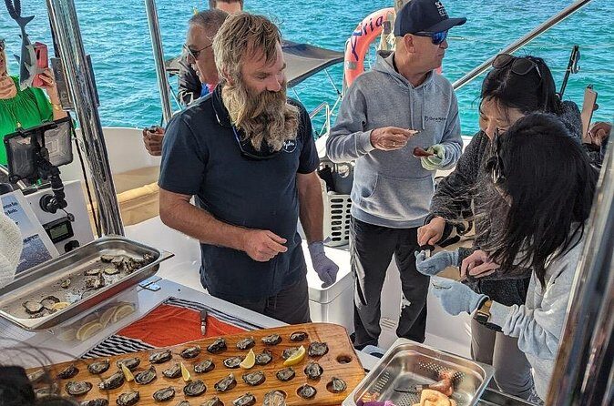 Oyster Farm Tour - The Sum Up