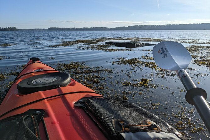 oyster-tasting-and-kayak-tour