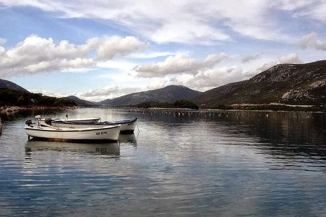 oysters-and-mussels-tasting-with-wine-in-ston-and-peljesac