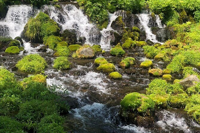 [Oysters in Suto] Let's go to Cape Kamui, Oyster Hut and Fukidashi Park by private car!To/from Sapporo - Practical Tips for Travelers