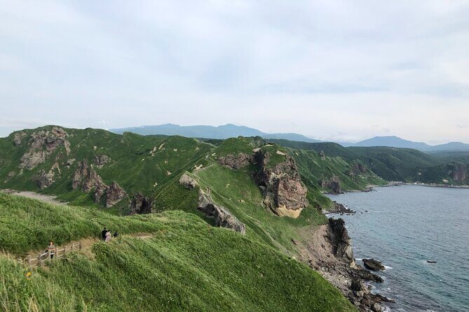 [Oysters in Suto] Let's go to Cape Kamui, Oyster Hut and Fukidashi Park by private car!To/from Sapporo - Final Thoughts: Who Is This Tour Best For?