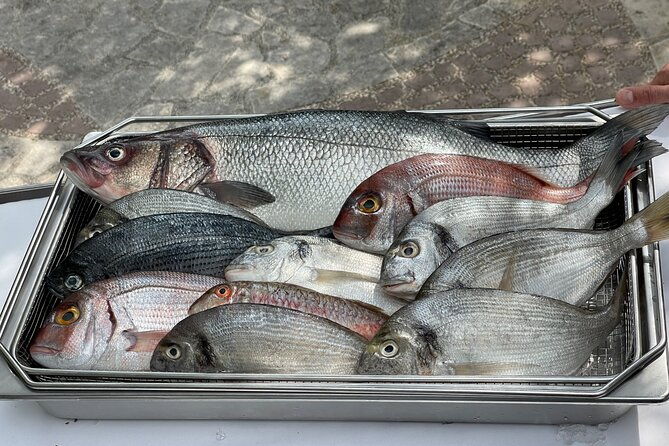 oysters-testing-private-tour-to-ston