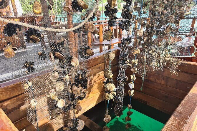 Oysters & Wine Tour From Dubrovnik (Small Group) - Mali Ston and the Oyster Experience