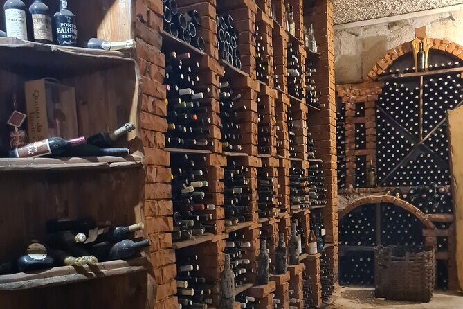 Oysters & Wine Tour From Dubrovnik (Small Group) - Things to Keep in Mind