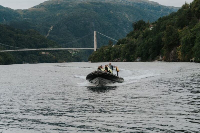 oystese-hardangerfjord-rib-safari-to-the-fyksesund-branch